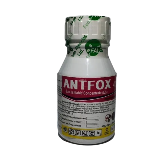 AntFox